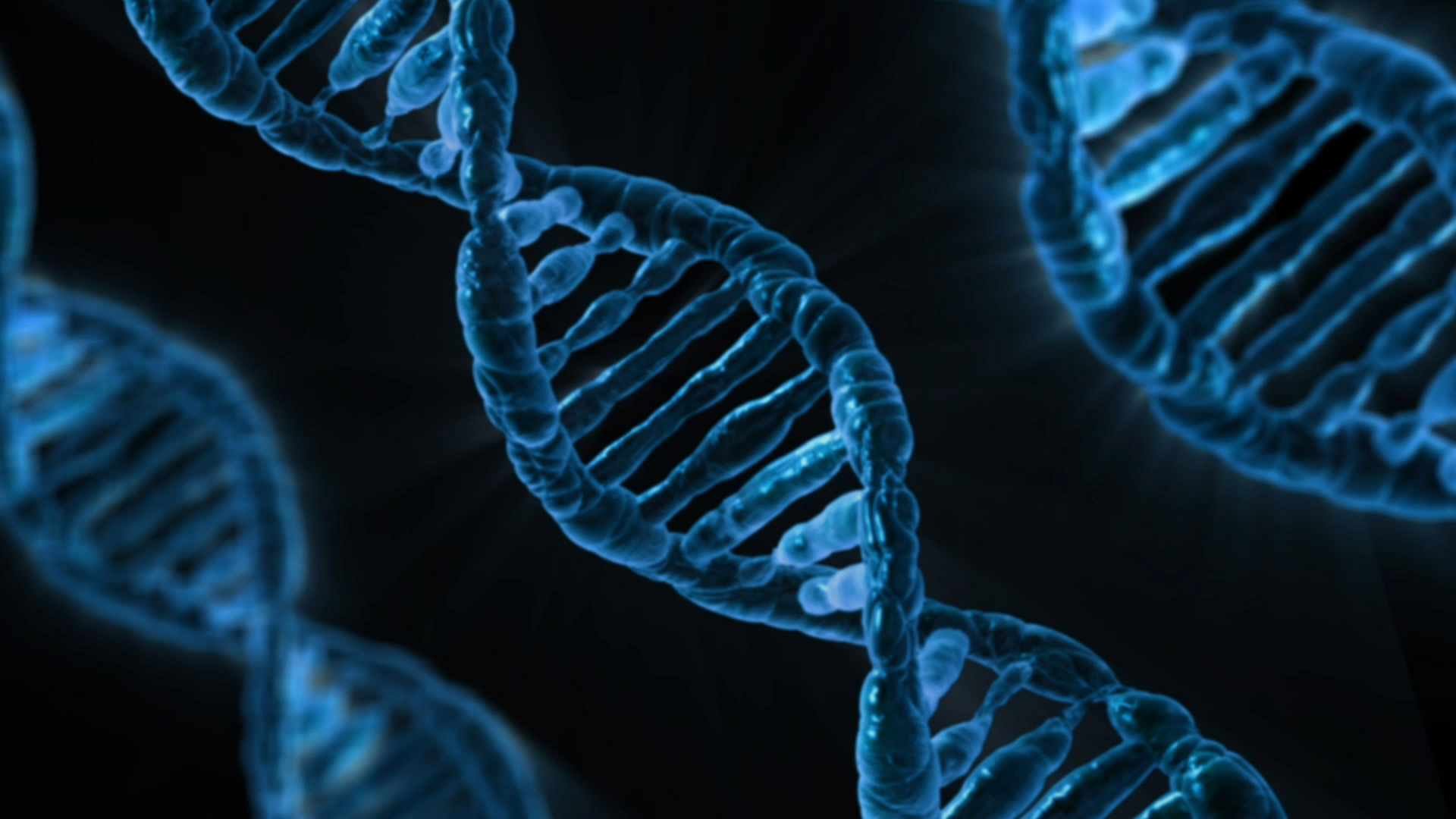 mein Genom: 23andMe und die Analysen von Drittanbietern